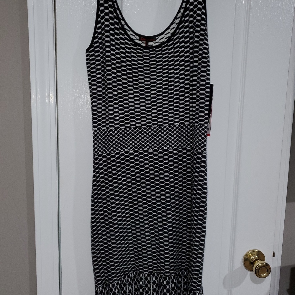 Brand new never worn Sophia Vergara dress